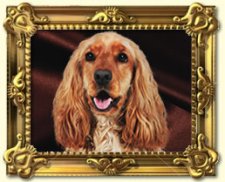 framed photo of a dog