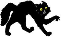 scared black cat