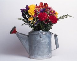flowers in metal watering can
