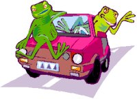 two frogs in a car