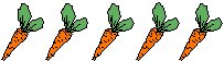 line of carrots