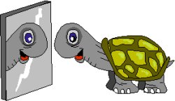 tortoise looking in a mirror