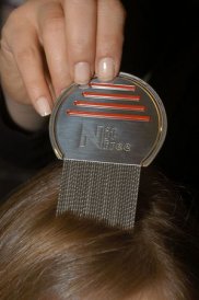 someone using Nitty Gritty NitFree Comb